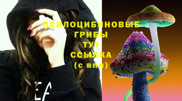 шишки Балабаново