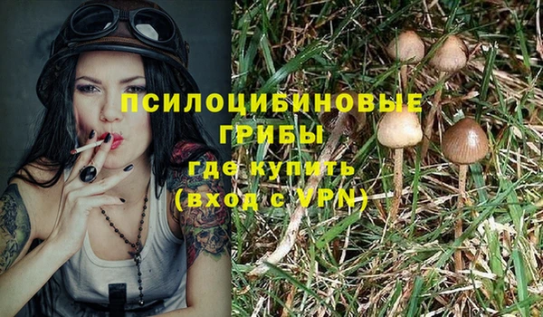 шишки Балабаново